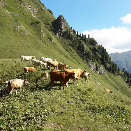 Auszeit Steiraland 7 Mit Ueberdachten Balkon Und Parkplatz Διαμέρισμα *