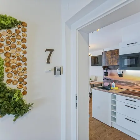 Auszeit Steiraland 7 Mit Ueberdachten Balkon Und Parkplatz Apartment Leoben (Styria)