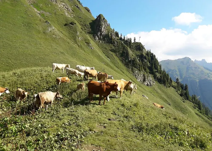 Auszeit Steiraland 7 Mit Ueberdachten Balkon Und Parkplatz Lägenhet *